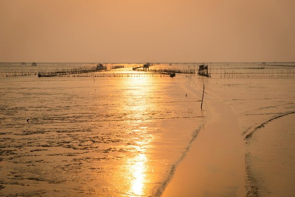 Explorer l'europe : les expériences enrichissantes et humaines